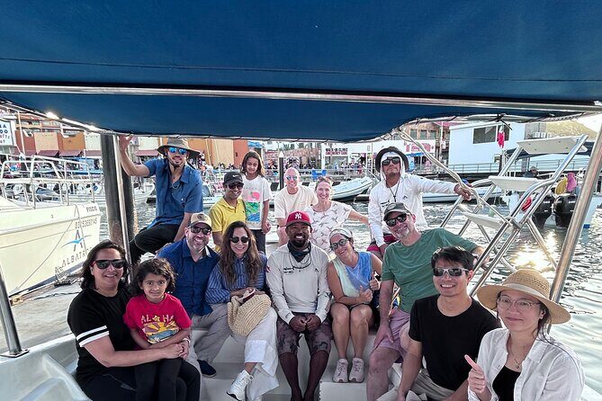 Whale Watching in Cabo San Lucas - Animals you may see (and how to think about the odds)
