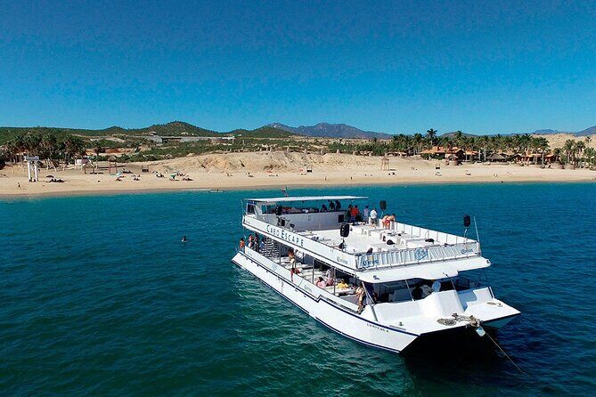 Whale Watching on 2 Level Big Boat with Breakfast and Drinks INCLUDED - The cruise plan: Arch first, then a search for humpbacks and friends
