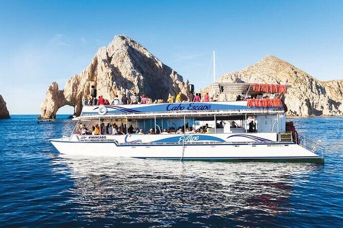 Whale Watching on 2 Level Big Boat with Breakfast and Drinks INCLUDED - Who this whale cruise is best for (and when to skip it)