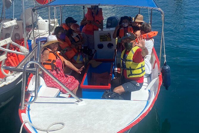 Whale Watching on a Glass Bottom Boat - Key Highlights Worth Booking