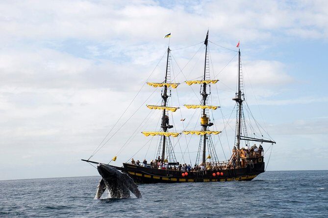 Whale-Watching Pirate Ship Cruise in Los Cabos - Pirate-Ship Whale Watching: Why This Cruise Works in Cabo