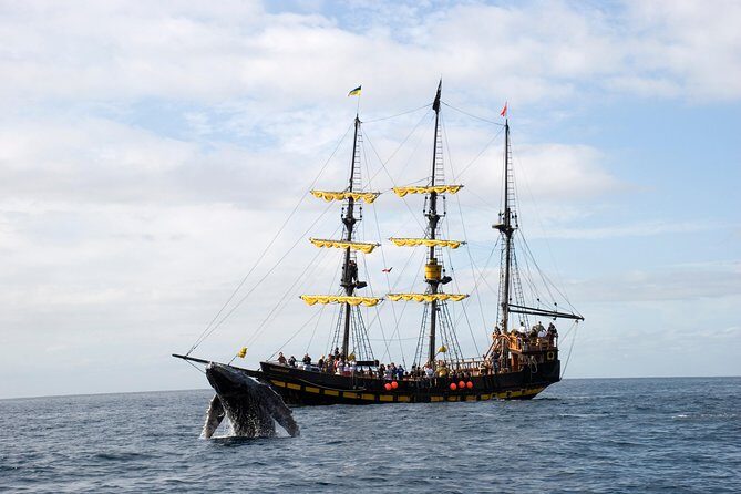 Whale-Watching Pirate Ship Cruise in Los Cabos - When the Boat Speeds Up: Searching the Pacific and Sea of Cortez