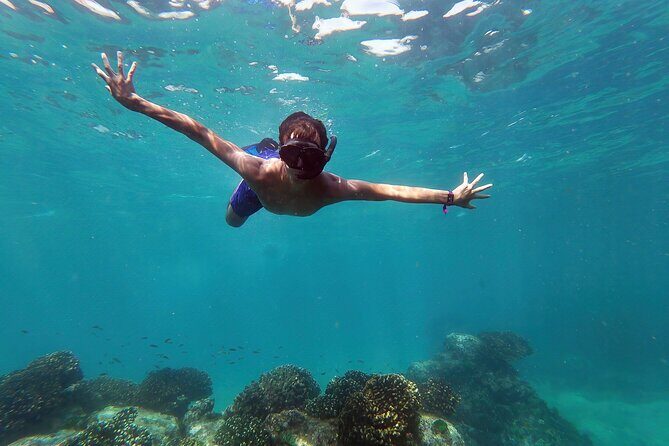 Whale Watching & Snorkeling Combo in Los Cabos with Photos Included - Key Takeaways Before You Go