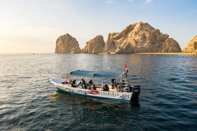 Whale Watching Tour in Cabo San Lucas - 2.5 hours on the water: what that timing really means