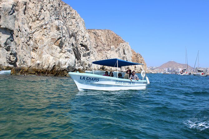 Whale Watching Tour in Glass Bottom Boat (VisitA Cabo) - Booking times during the season: when this is running