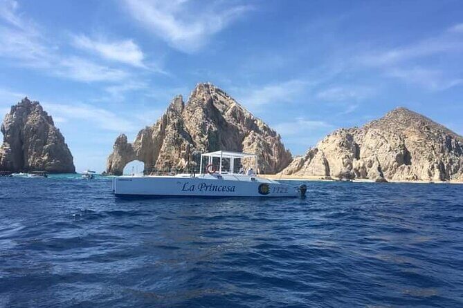 Whale Watching Tour in Los Cabos - Cabo San Lucas Meets the Sea: The El Arco Photo Stop