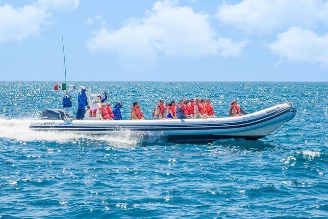 Whale Watching with Lunch and transportation included - Lunch during the outing: why the Mexican buffet inclusion changes the whole day