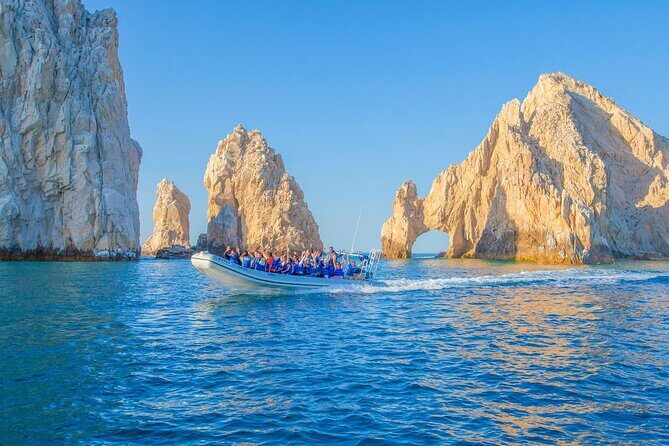 Whale Watching with Lunch and transportation included - The 3-hour sailing window: how the cruise is paced
