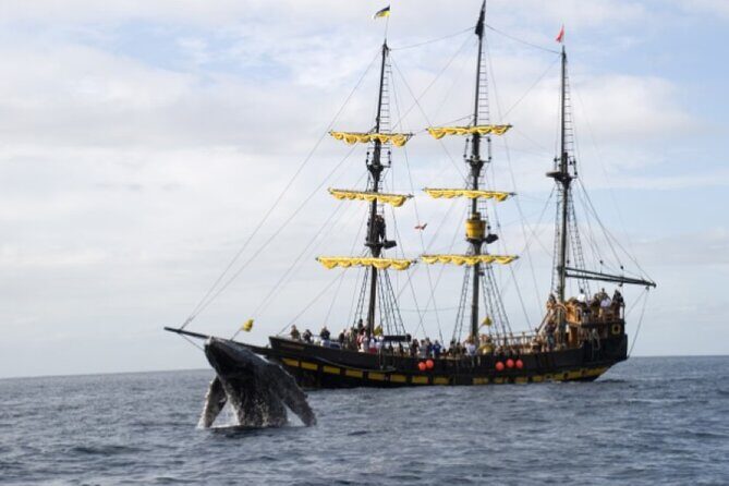 World Class Whale Watching with Breakfast and Open Bar - Pelican Rock: a jagged landmark for spotting moments