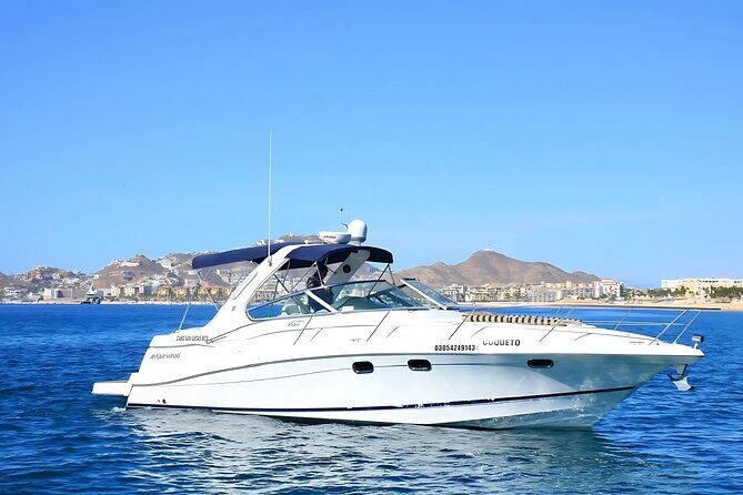 Your Own Private Yacht in Cabo – Snorkeling, Crew & Coastal Views - The Coastal Cruise Around Cabo: Why the Route Feels Right