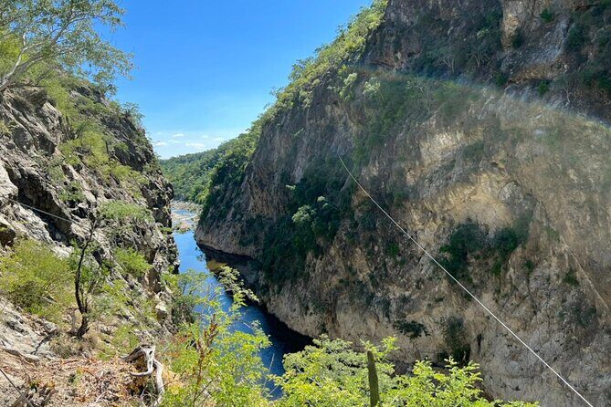 Zipline Adventure from Caduaño - The Desert Oasis Safari: Flora and Fauna Lessons That Add Real Meaning