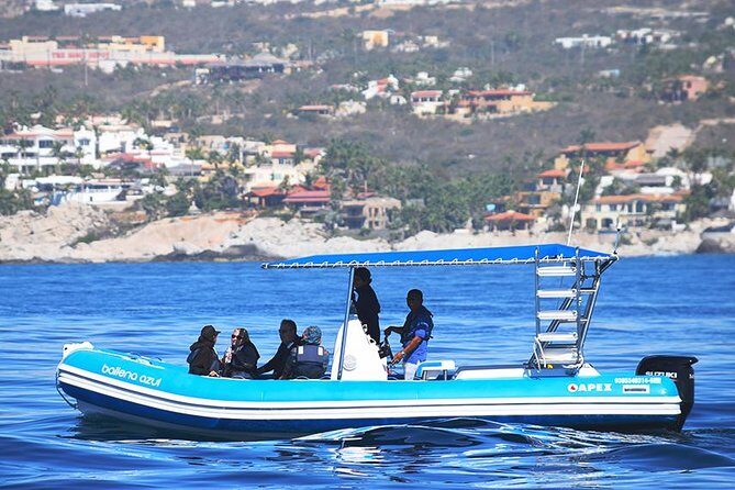 ZODIAC Whale Watch Tour | Cabo San Lucas | Biologist | FREE Pics - Meeting point and getting started without stress